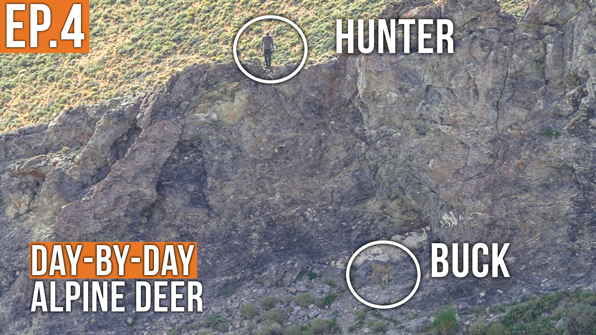 SO CLOSE | Alpine Deer (EP.3)