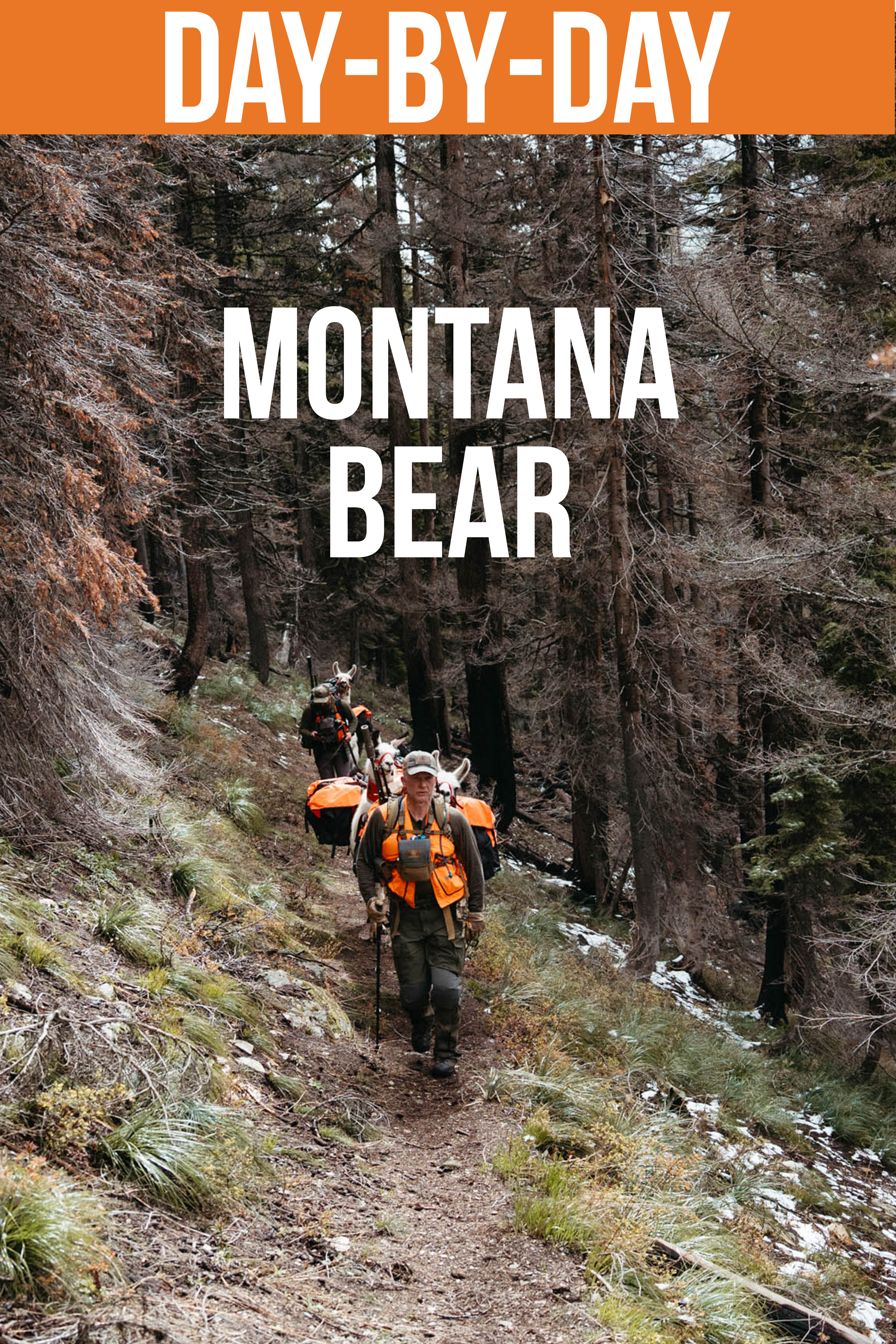 Montana Bear Day-by-Day
