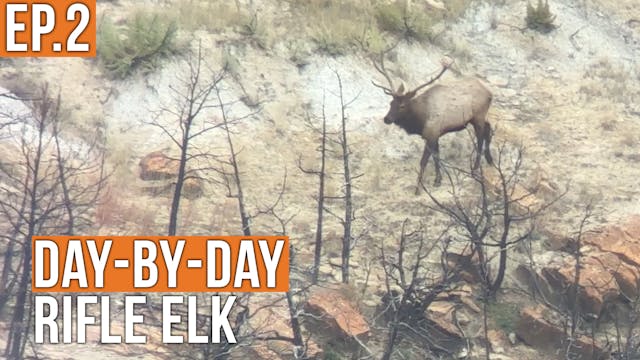 SO CLOSE | Prairie Elk (Ep.2)
