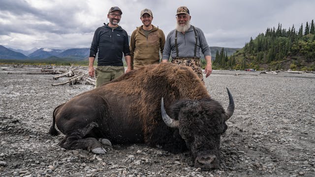 Alaskan Bison with Jim Baichtal - Day...
