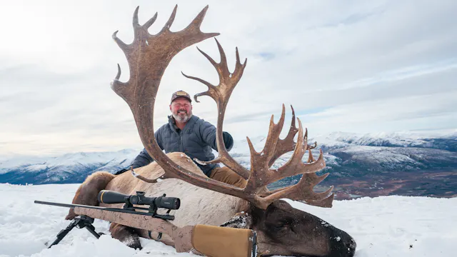 Wild Country, Big Caribou & Grizzly B...
