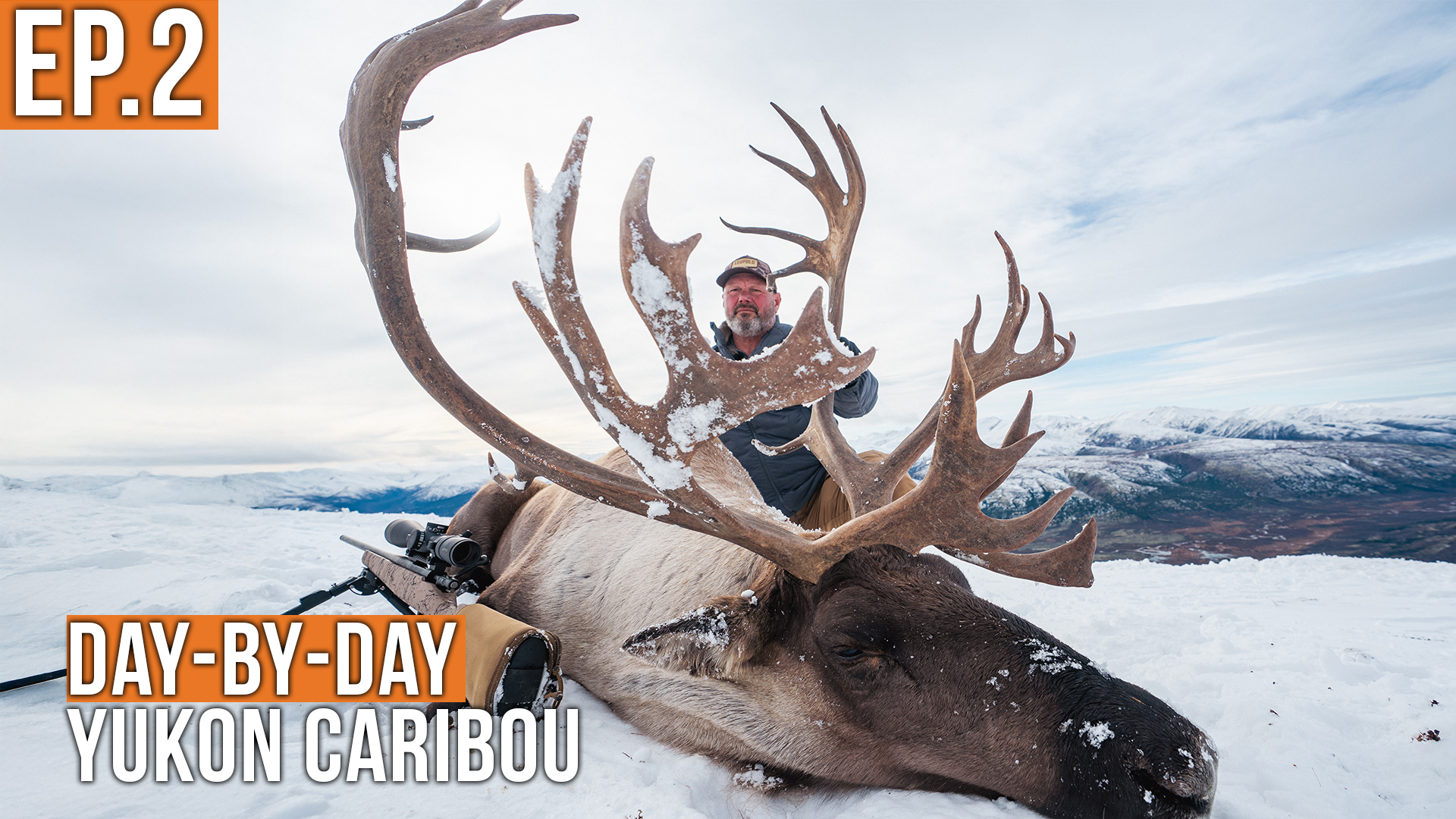 HUGE Bull Caribou | Yukon Caribou & Grizzly Bear (EP.2)