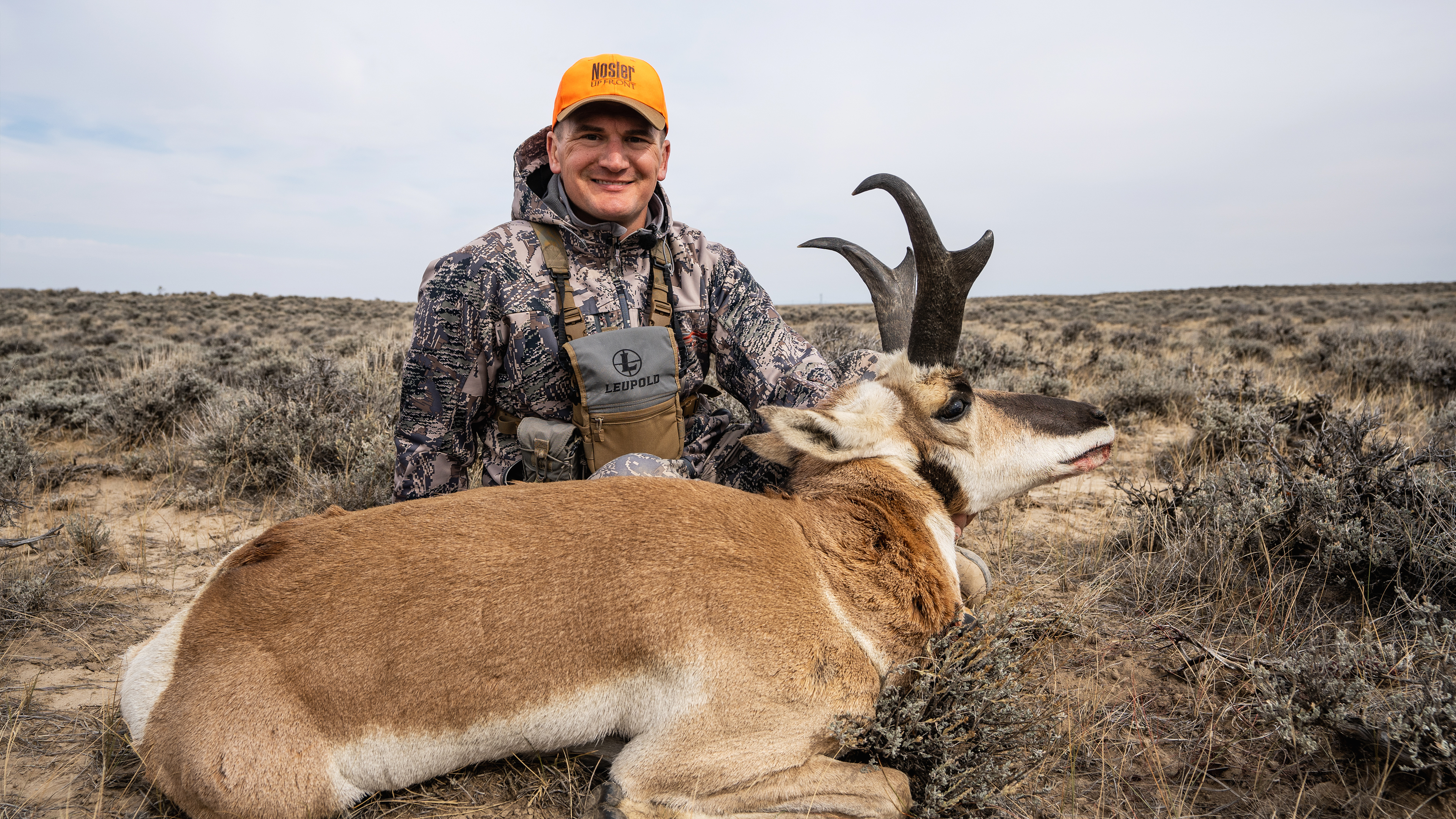 A Plethora of Pronghorn