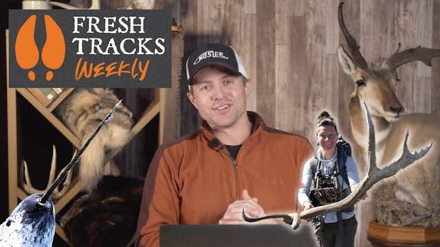 We Have $900 Million to Spend! | Fresh Tracks Weekly (Ep. 9)
