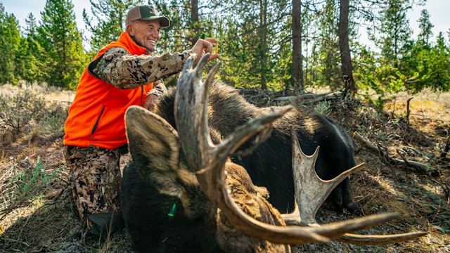 A Montana Shiras Moose Hunt!