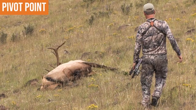 Bull Elk at 2 YARDS | Pivot Point 