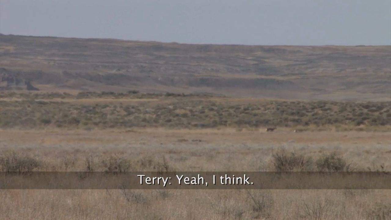 On Your Own Adventures: Season 2, Episode 9 - Wyoming Pronghorn