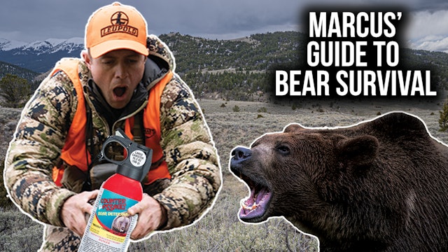 Bear Deterrent 101 with Marcus