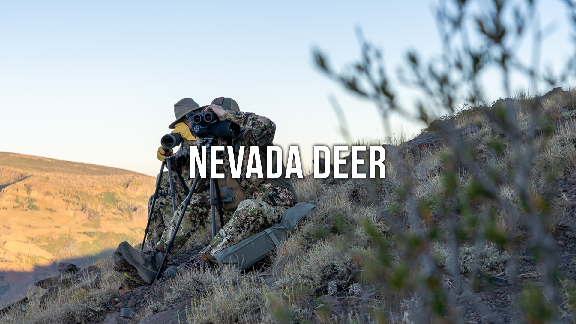 Nevada Deer Day-by-Day
