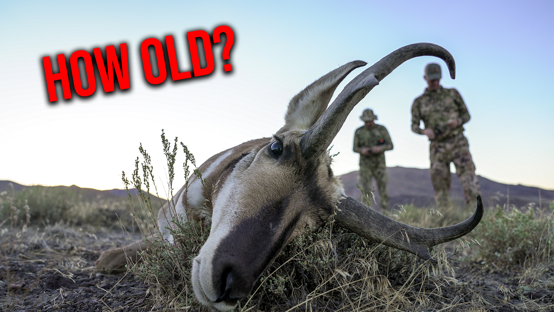 Guess The Age! Win a Prize!