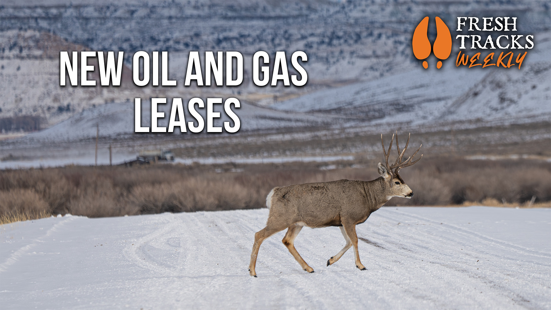 We Don't Need These Ones | Fresh Tracks Weekly Ep. 109