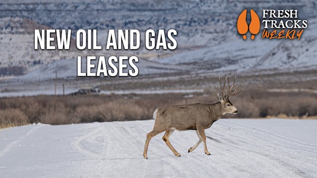 We Don't Need These Ones | Fresh Trac...