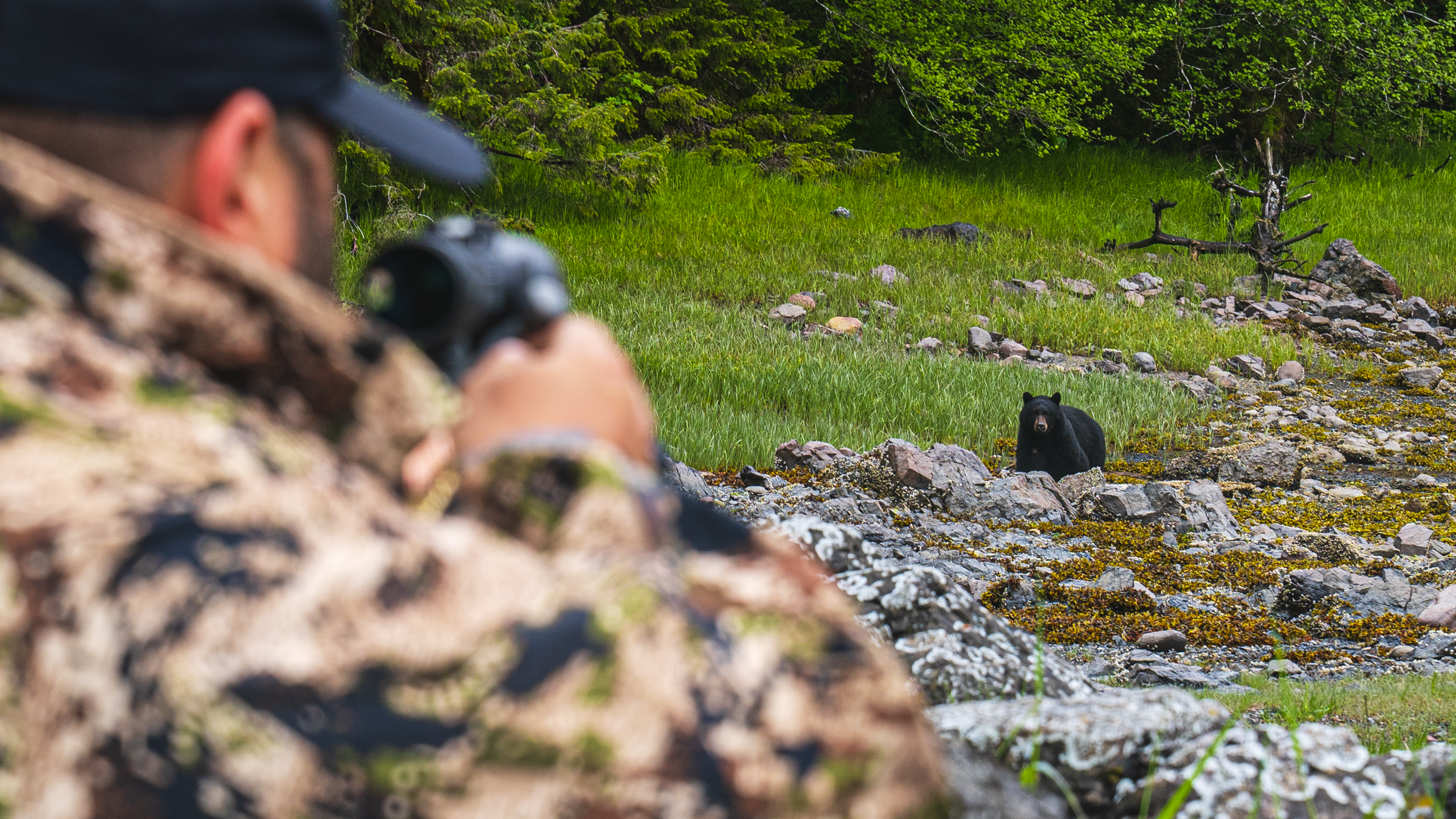 A Coastal Black Bear Alaskan Rafting Adventure