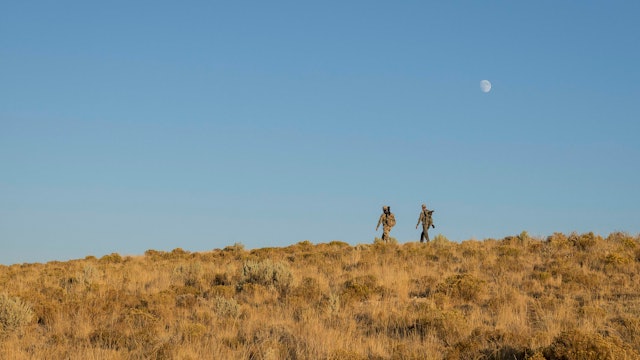 Nevada Pronghorn - Hunting the Silver State Sage