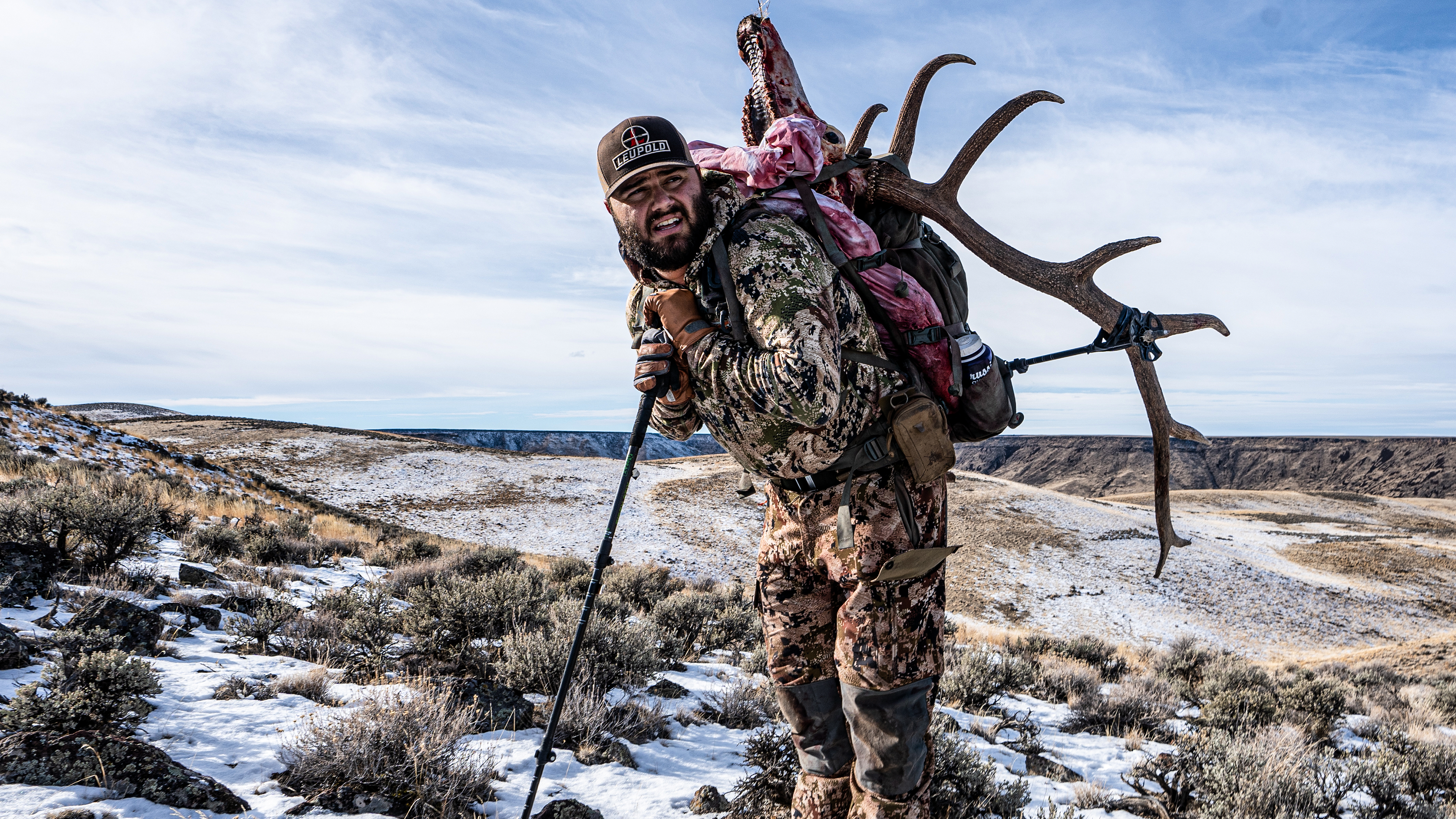 Where are All the Migrating Elk?