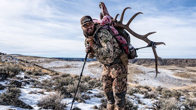 Where are All the Migrating Elk?