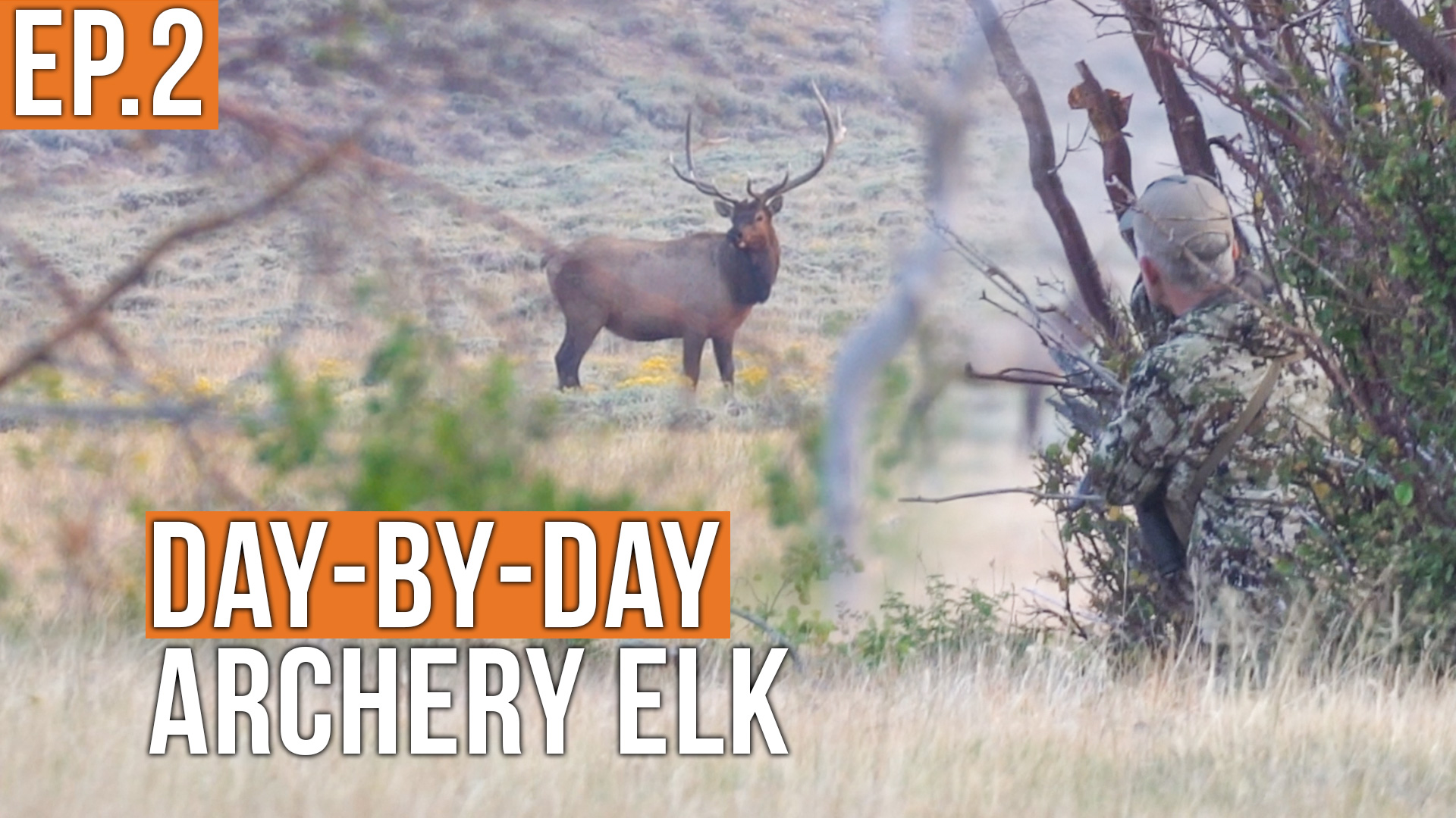 A Close Call | Archery Elk (EP.2)