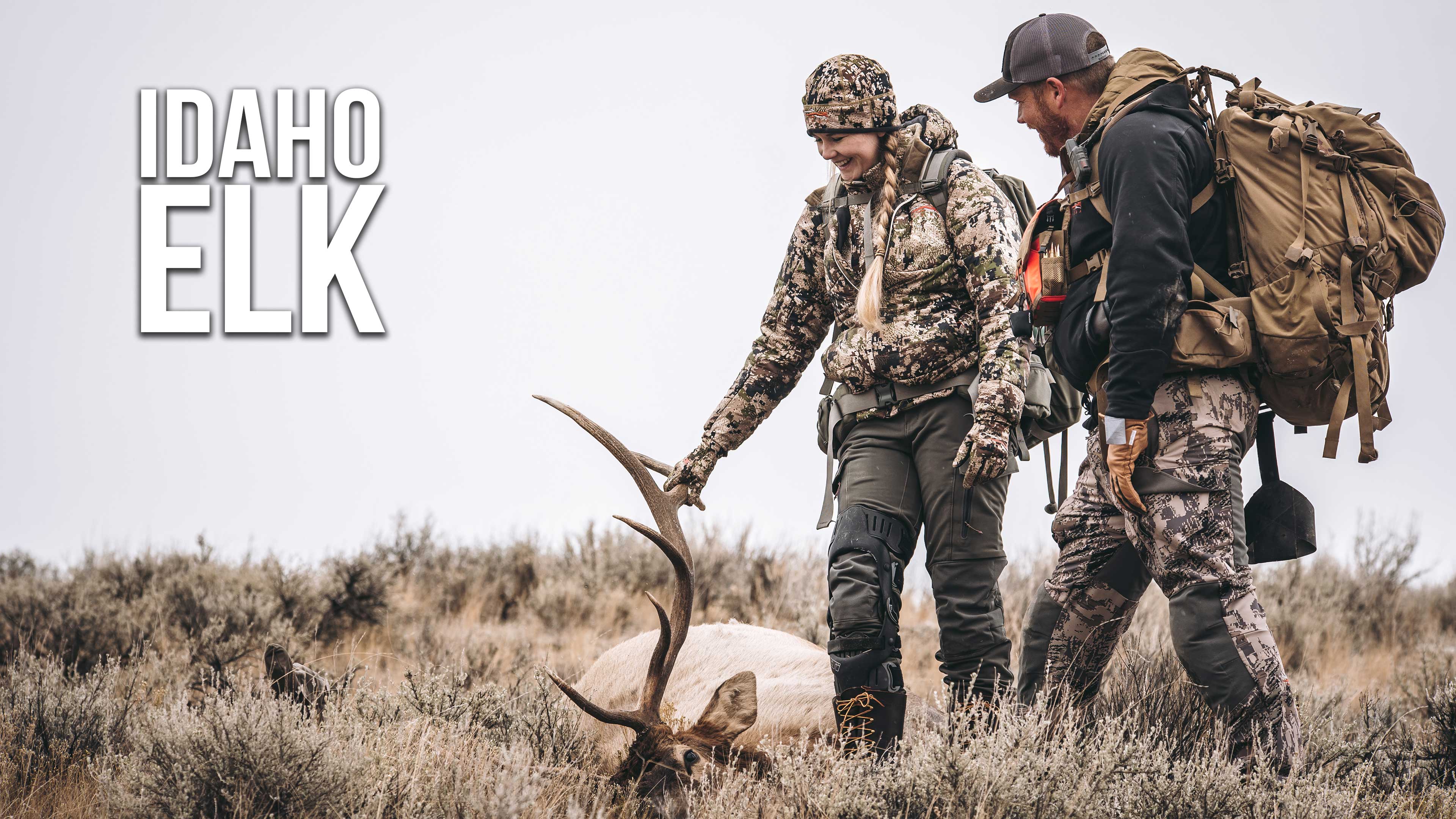 Idaho Elk with The Baty's