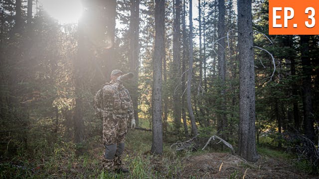Switching Spots To Grizzly Country | ...