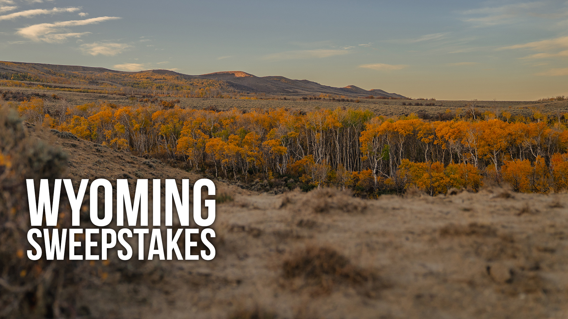 2022 Wyoming Sweepstakes