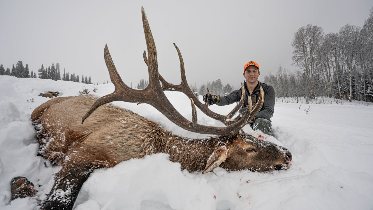 The Feed Grounds Fresh Tracks Season 12 Fresh Tracks+