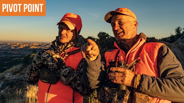 Colorado Mule Deer | Pivot Point