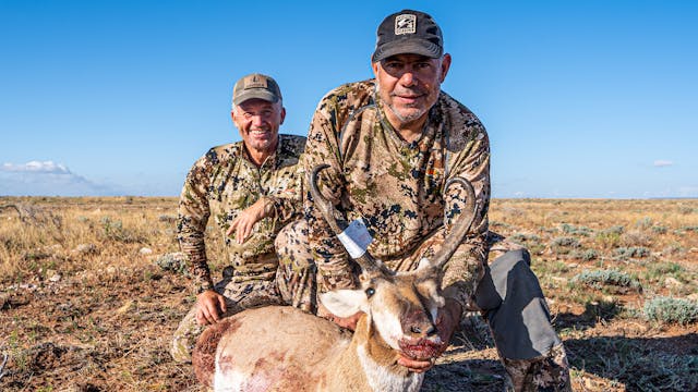 Foxhole Friends | Arizona Pronghorn w...