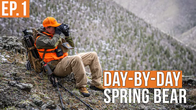 We Found Em | Spring Bear Day by Day ...