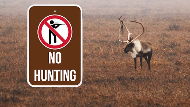 Millions of Acres Closed to Hunting i...