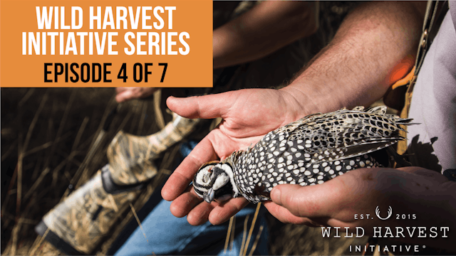 Wild Harvest Initiative Series - Episode 4 of 7