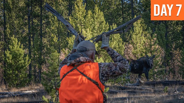 Getting Up Close And Personal | Monta...