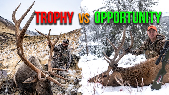 Opportunity or Trophy Elk? | Fresh Tracks Weekly (Ep. 21)