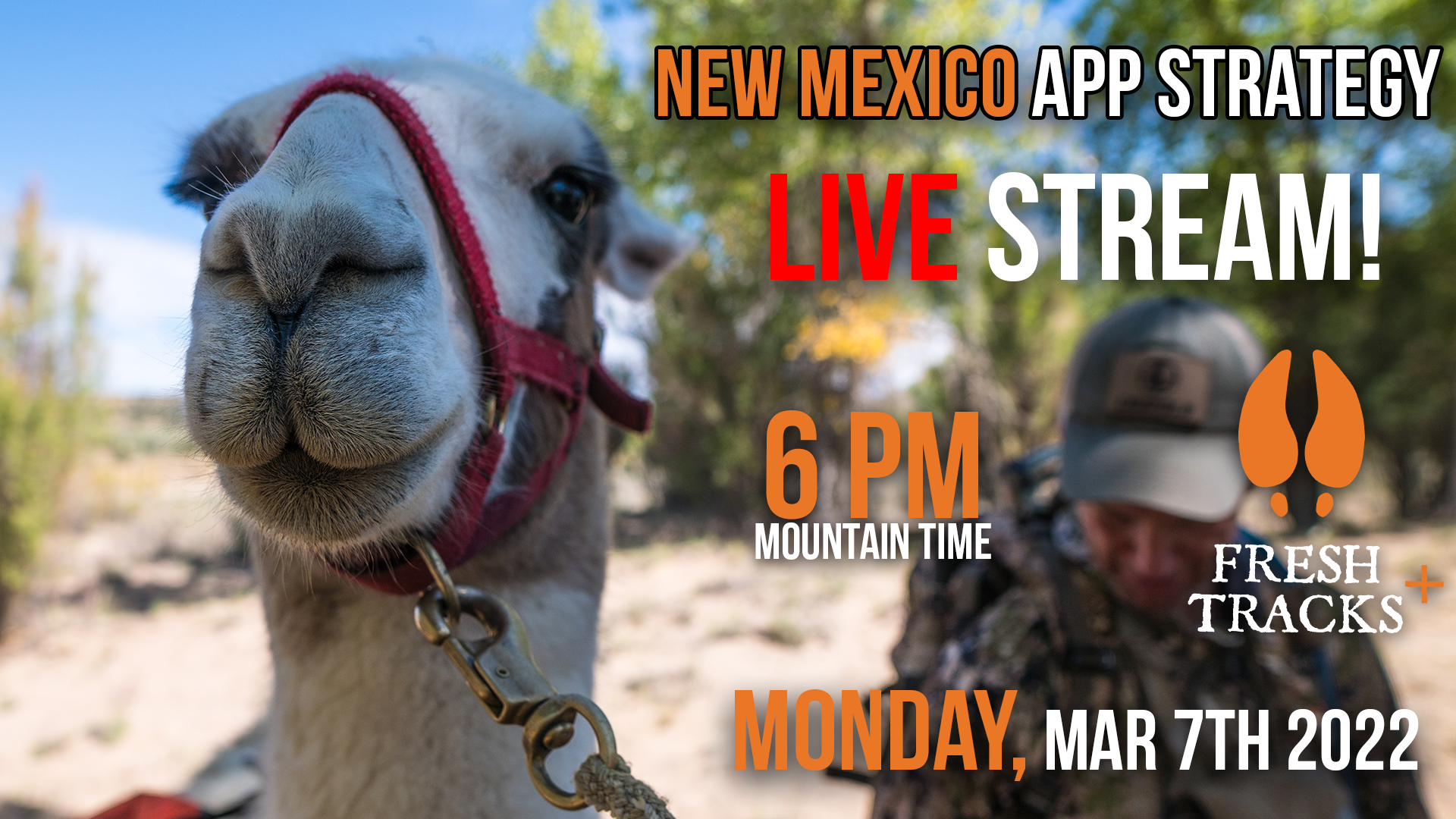 NM Application Live Stream