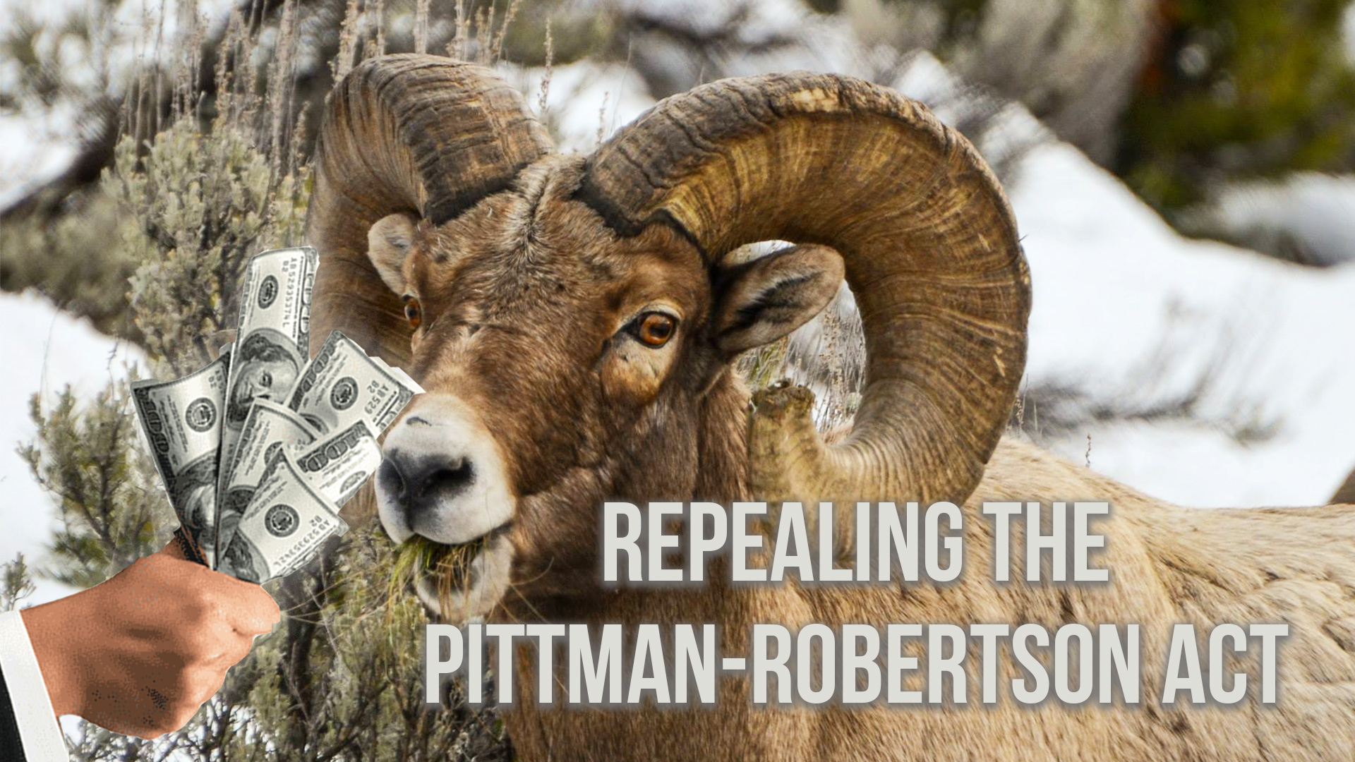 Canceling Conservation? | Fresh Tracks Weekly Ep  20