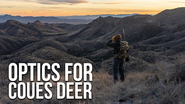 Randys Glassing System For Coues Deer Hunting 