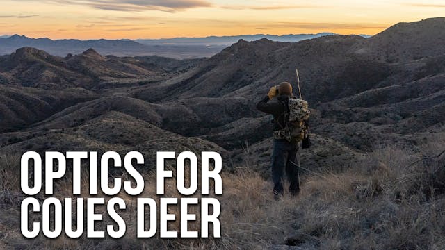 Randys Glassing System For Coues Deer...