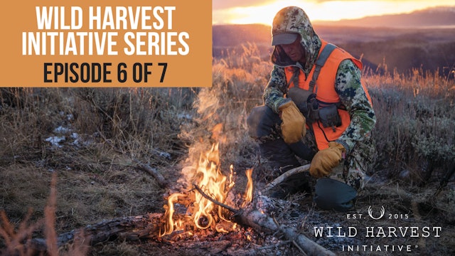 Wild Harvest Initiative Series - Episode 6 of 7