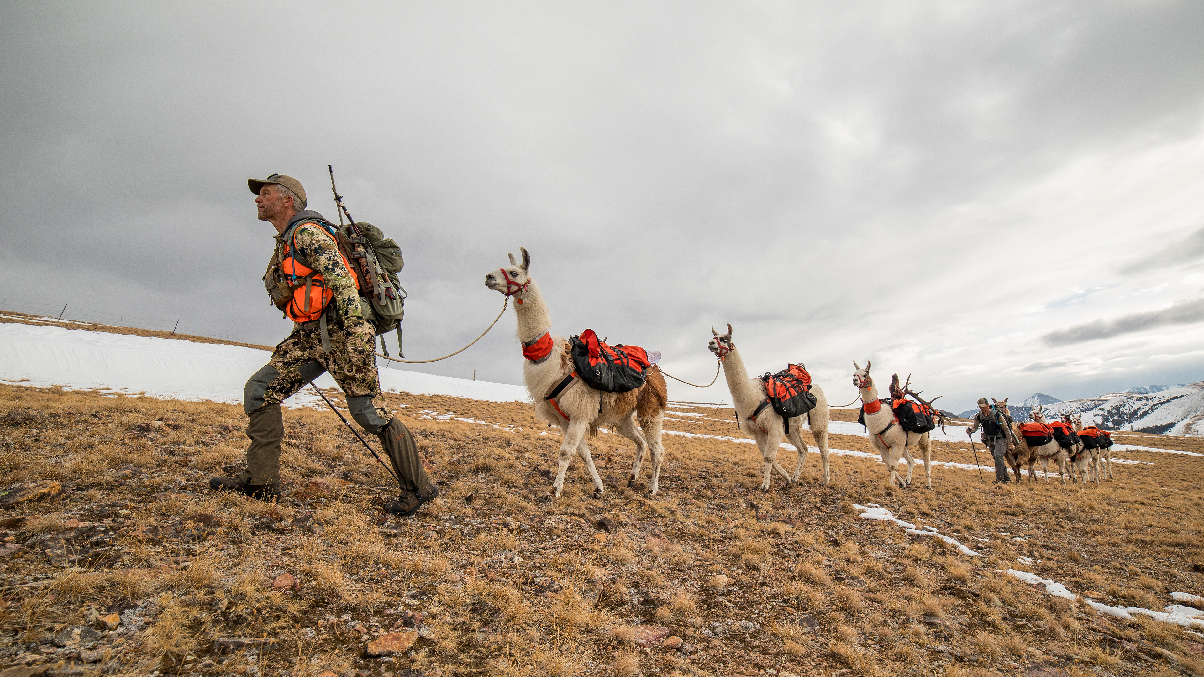 Montana Rifle Elk Opener