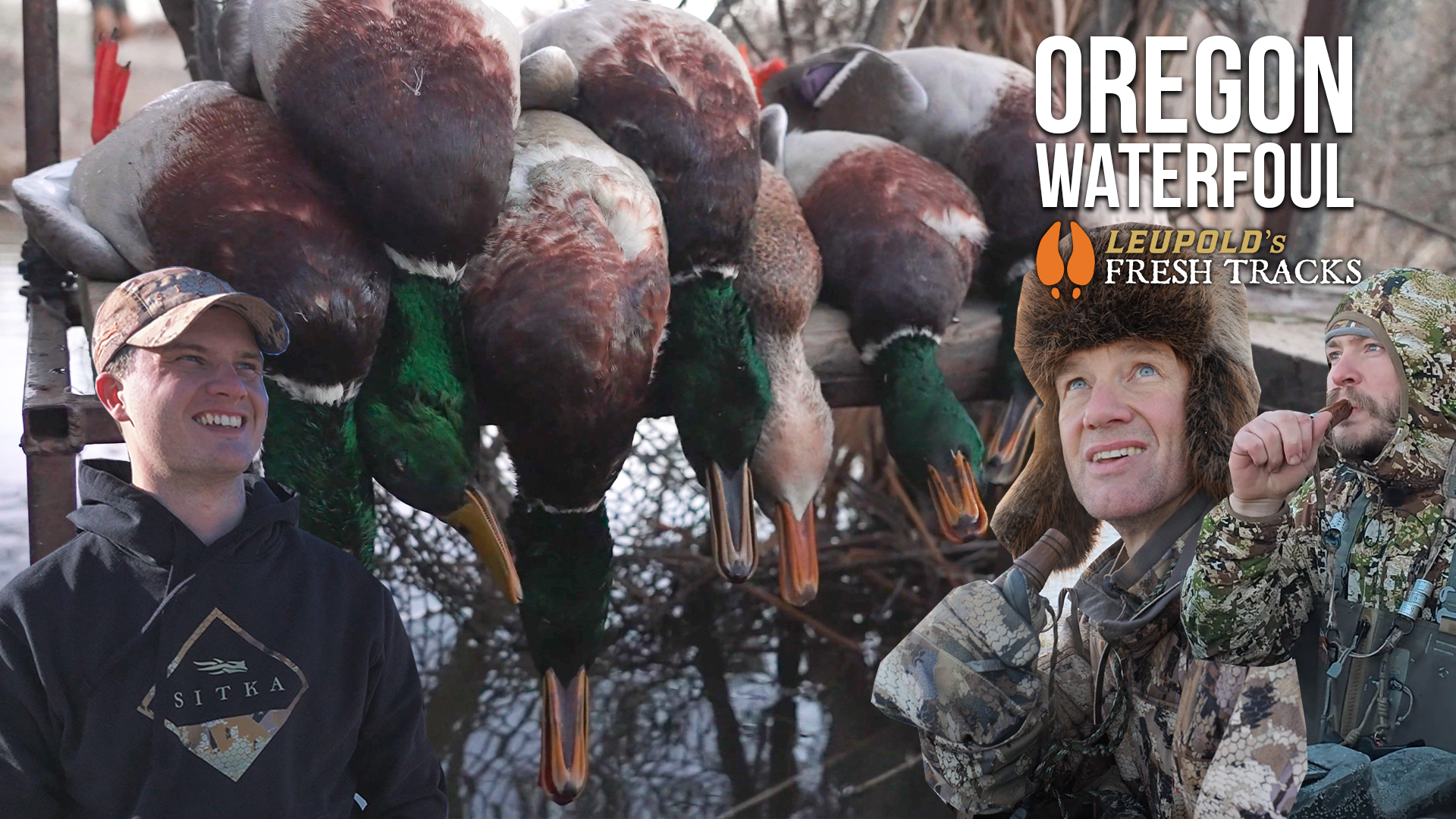 Oregon Waterfowl | Fresh Tracks