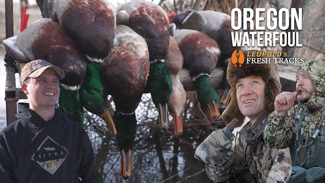Oregon Waterfowl | Fresh Tracks