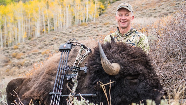 Utah Archery Bison
