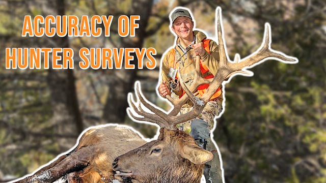 How Many Elk do Hunters Kill? | Fresh...