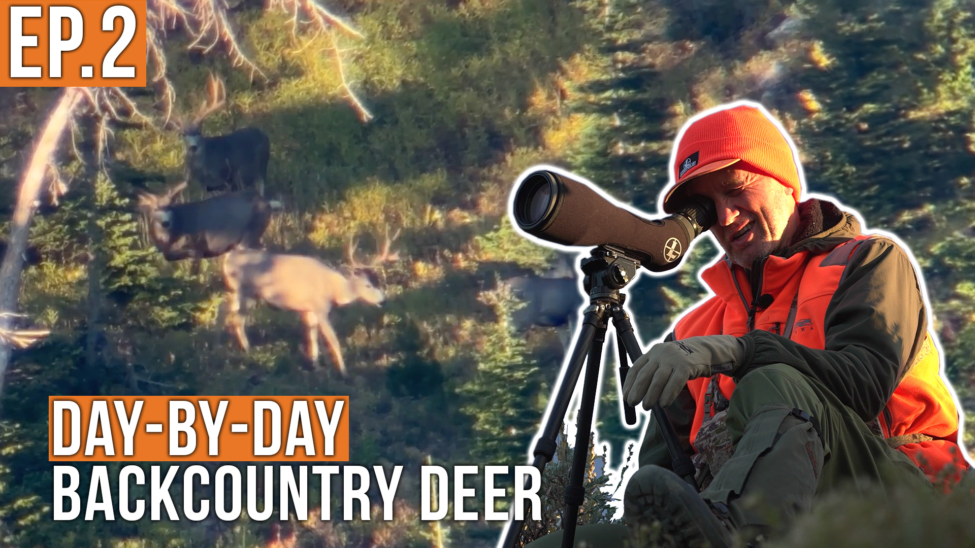 Look at Those BUCKS! | Backcountry Deer (EP.2)