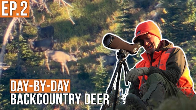 Look at Those BUCKS! | Backcountry De...