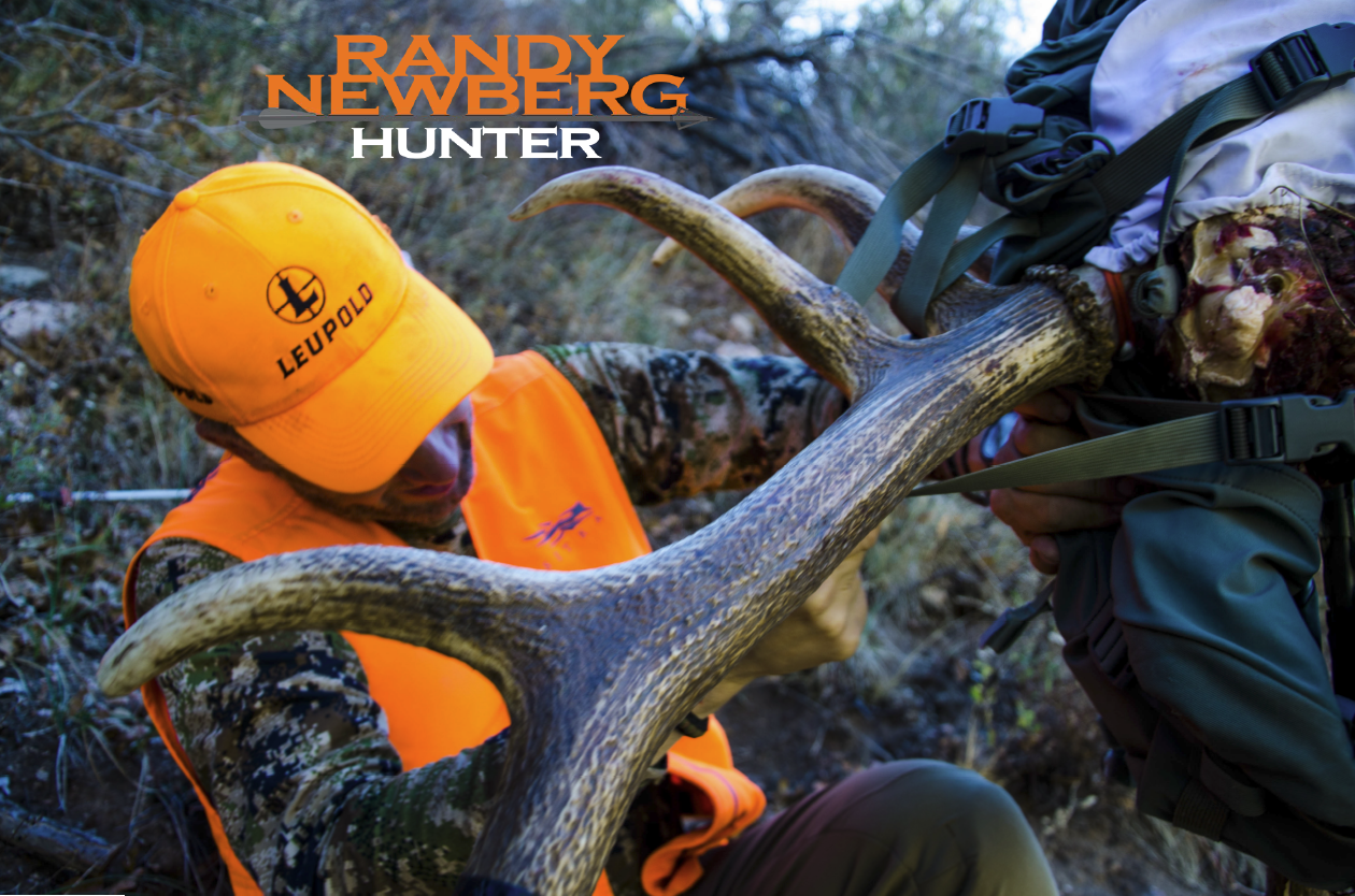 Colorado Rifle Elk, 19 Years of Trying