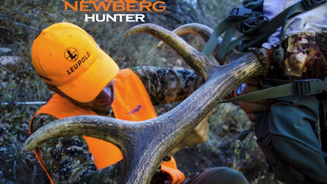 Colorado Rifle Elk, 19 Years of Trying