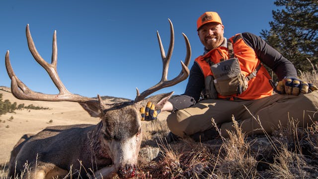 LAST DAY BUCK | Colorado Mule Deer wi...