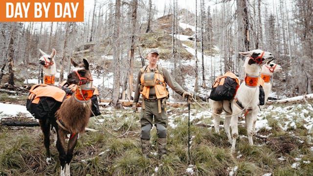 Too Much Snow, Not Enough Bears | Mon...