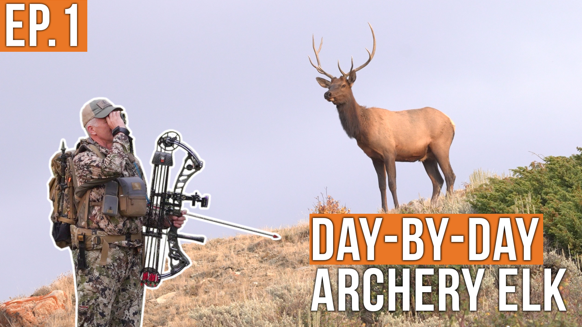 The Elk Are Everywhere! | Archery Elk (EP.1)