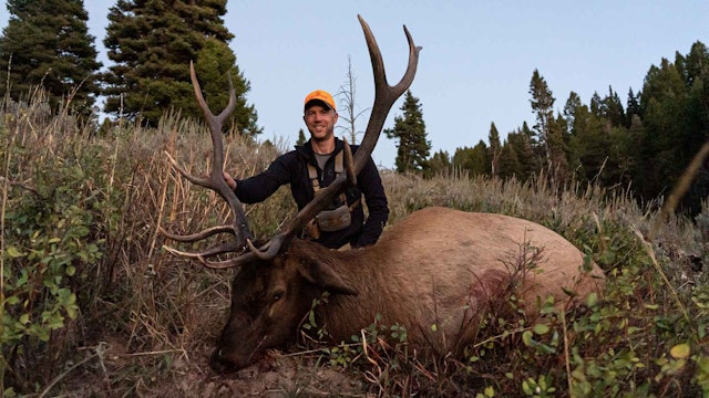 Mike is on The Board! | Wyoming Backcountry Elk Hunt Day-by-Day 